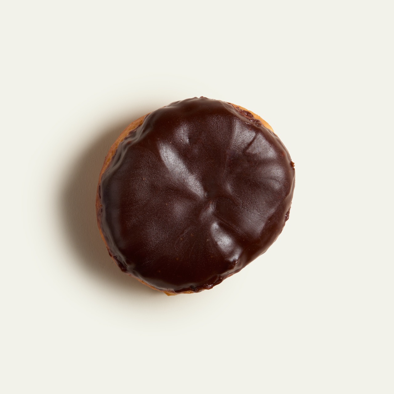 Raised Chocolate Bismark Donut